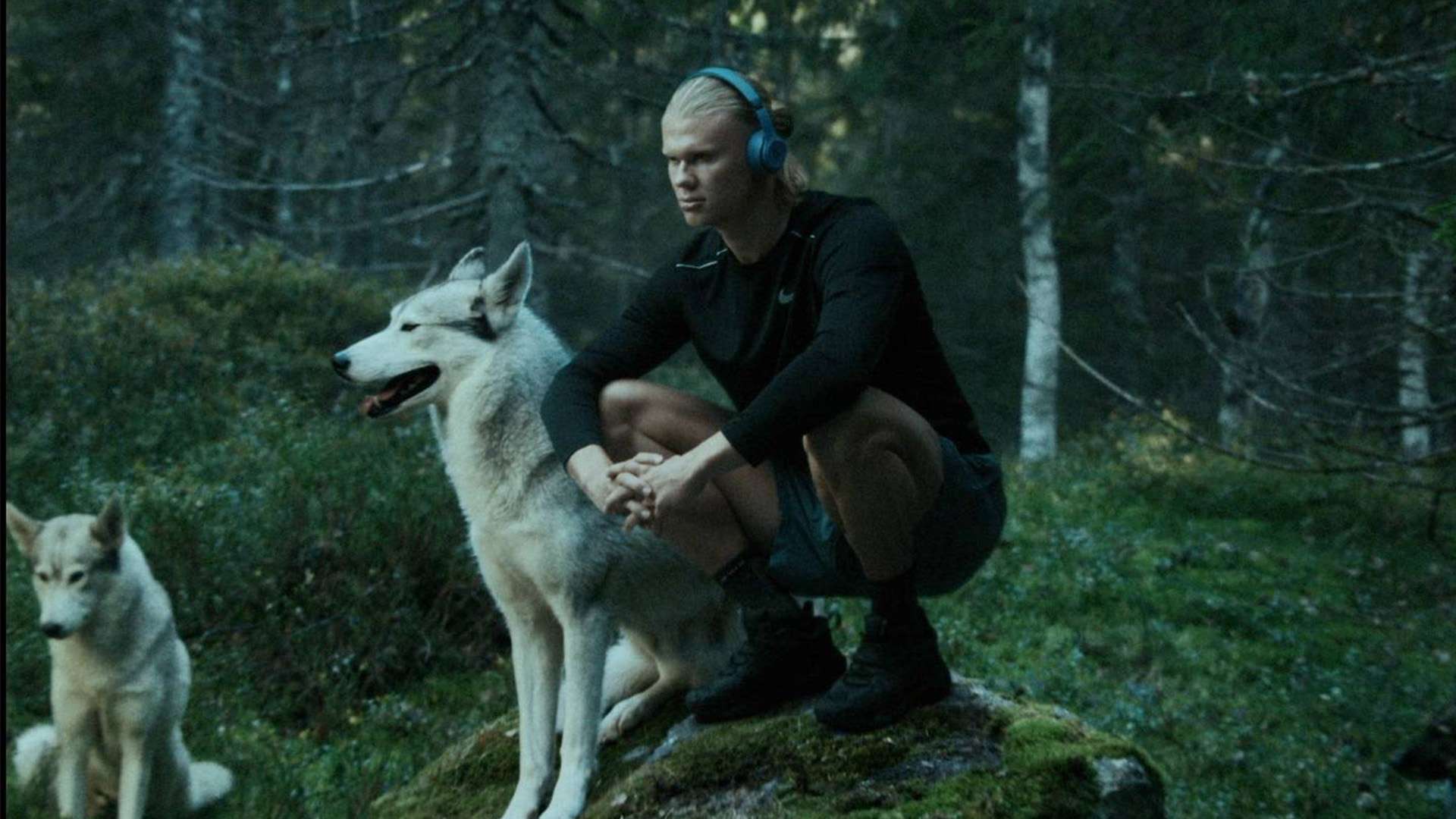 在虚假与扭 在虚假与扭