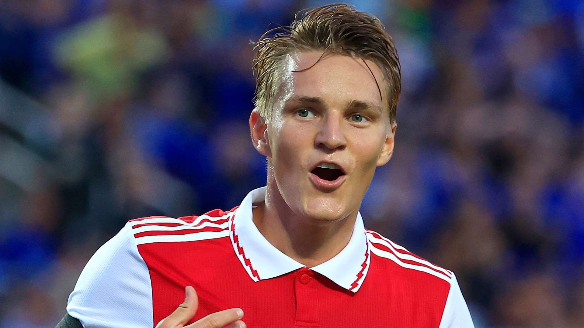 季所带来的 季所带来的