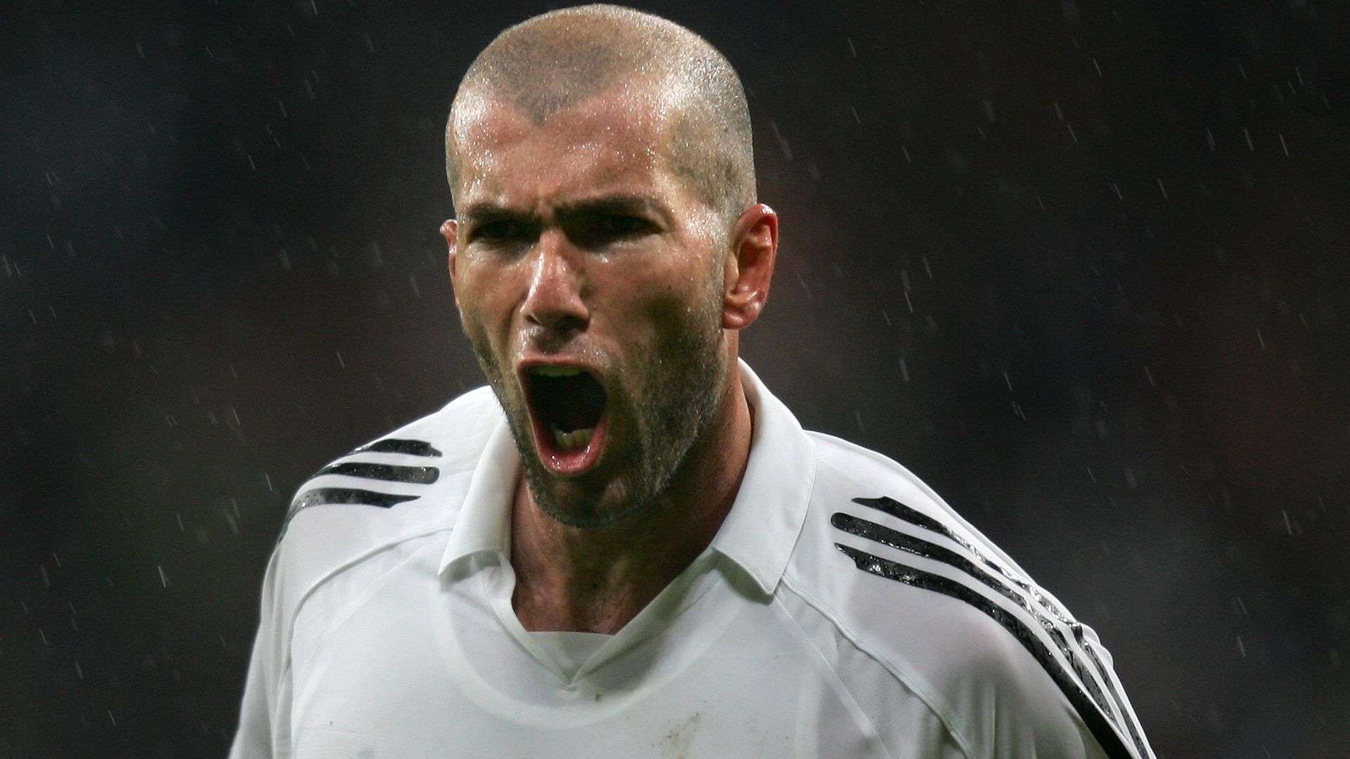 也能有效转 也能有效转