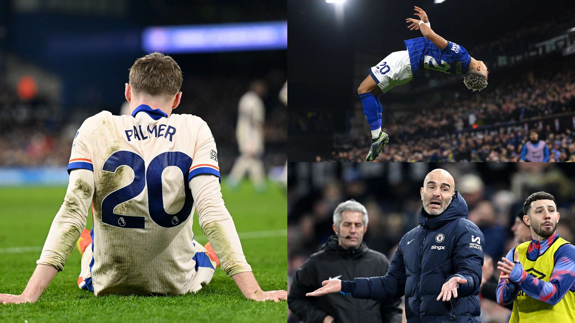 数据亮眼 数据亮眼